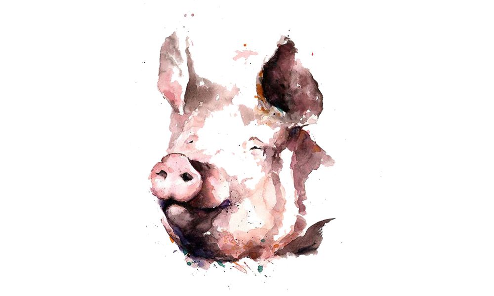 Tử vi tuổi Hợi 19/6 - 25/6