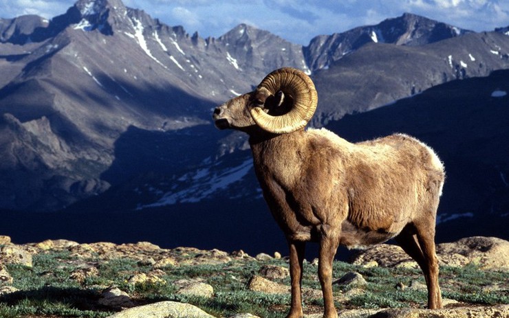 Con số may mắn tuổi M&ugrave;i ng&agrave;y 22/6/2023