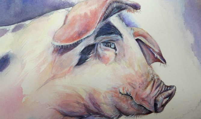 Con số may mắn tuổi Hợi ng&agrave;y 22/6/2023