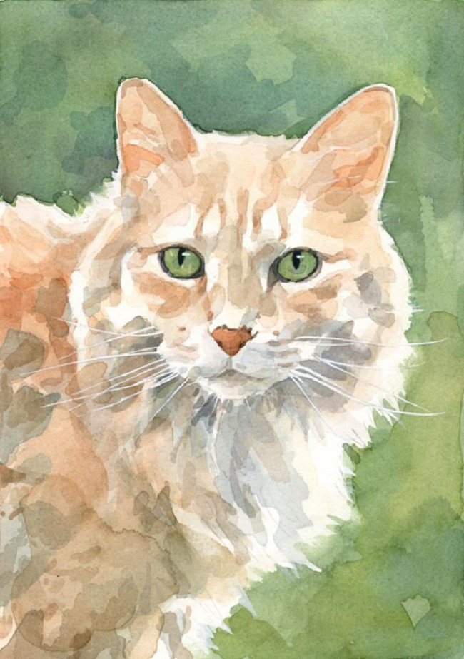 Con số may mắn tuổi M&atilde;o ng&agrave;y 23/6/2023