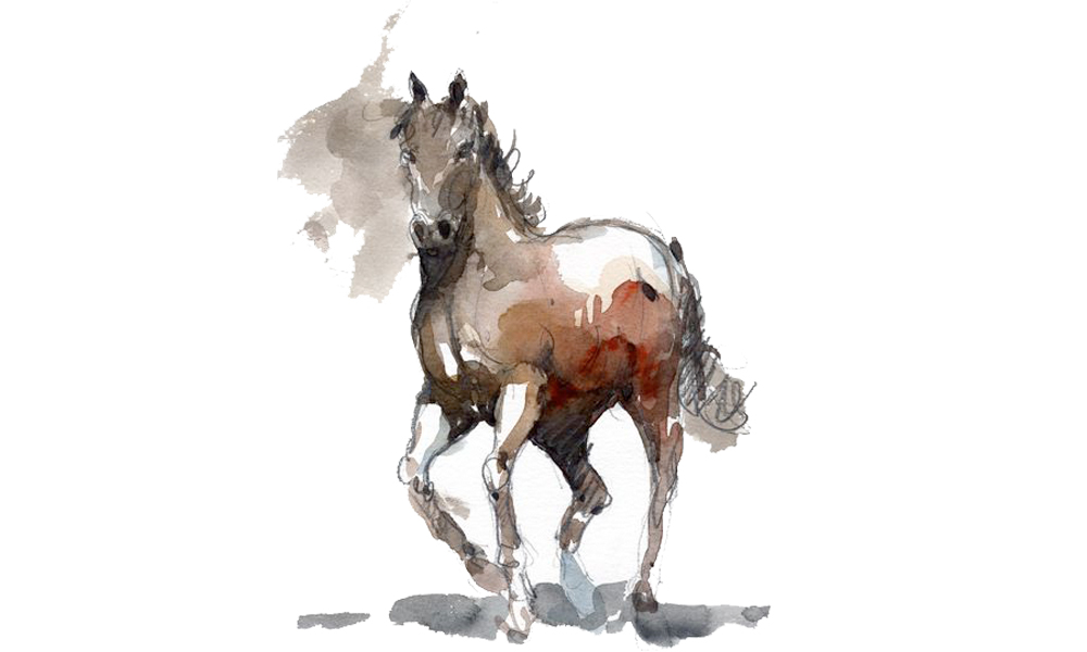 Con số may mắn tuổi Ngọ ng&agrave;y 30/6/2023