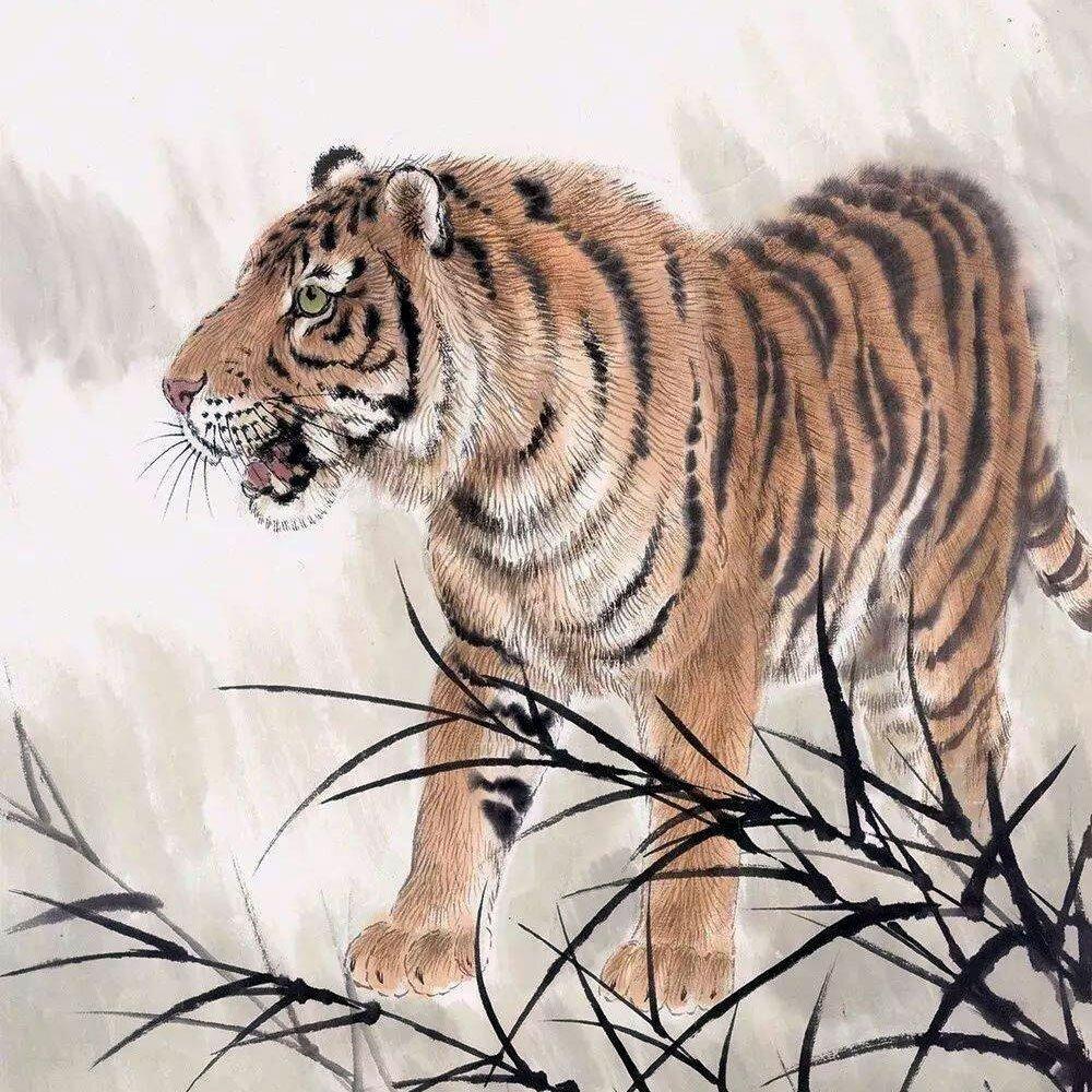 Con số may mắn tuổi Dần ng&agrave;y 5/7/2023