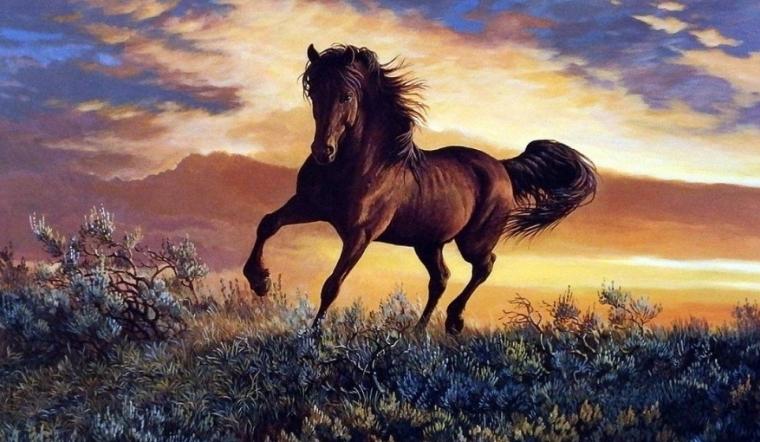 Tử vi tuần mới tuổi Ngọ 3/7 - 9/7/2023
