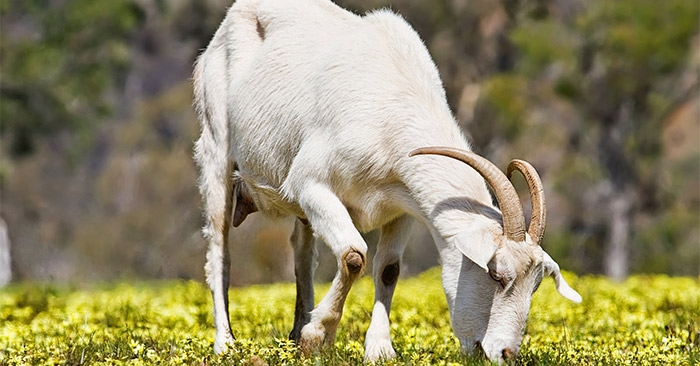 Con số may mắn tuổi M&ugrave;i ng&agrave;y 10/7/2023