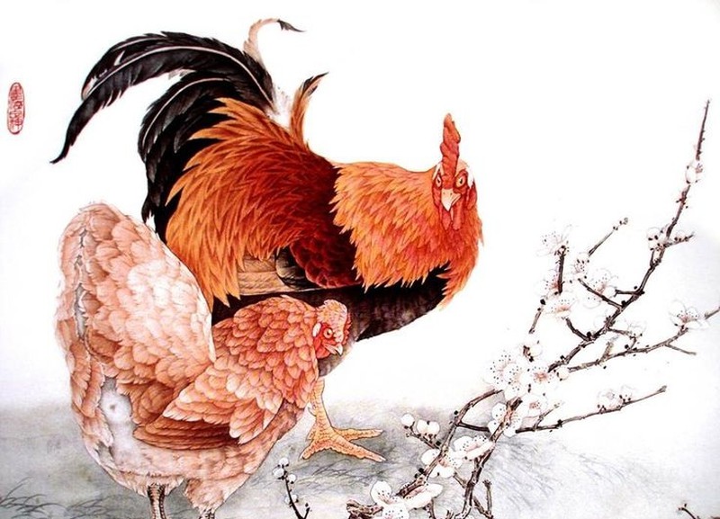 Tử vi ngày 8 tháng 7 tuổi Dậu