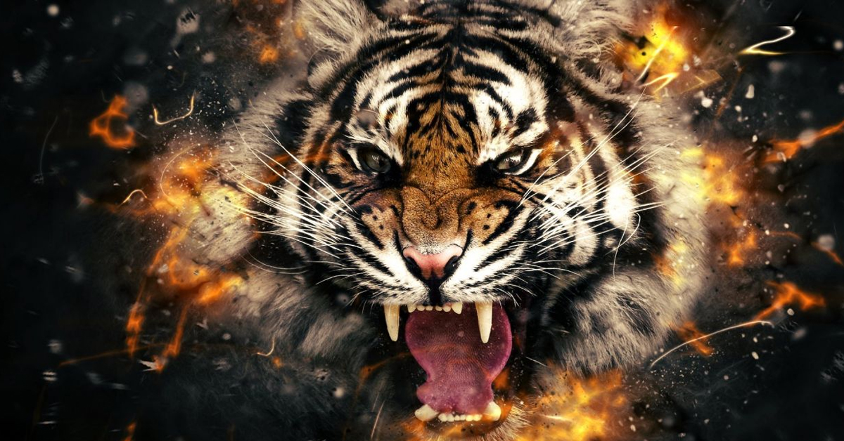 Con số may mắn tuổi Dần ng&agrave;y 14/7/2023