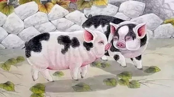 tử vi ngày 12 tháng 7 tuổi Hợi