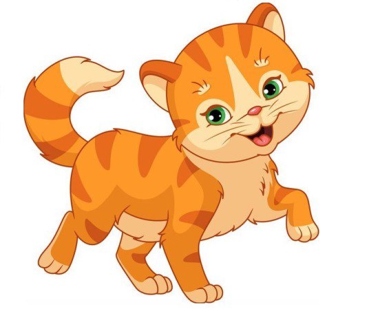 Tử vi ng&agrave;y 19 th&aacute;ng 7 tuổi M&atilde;o