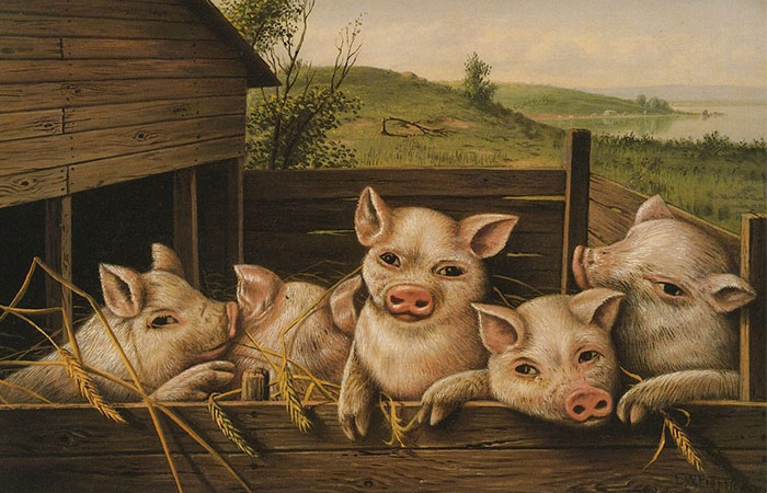 Con số may mắn tuổi Hợi ng&agrave;y 26/7/2023