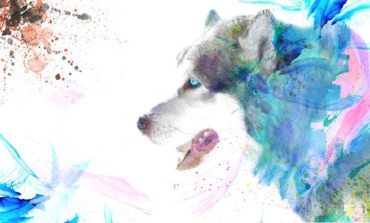 Con số may mắn tuổi Tuất ng&agrave;y 3/8/2023