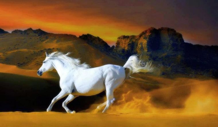 Con số may mắn tuổi Ngọ ngày 6/8/2023