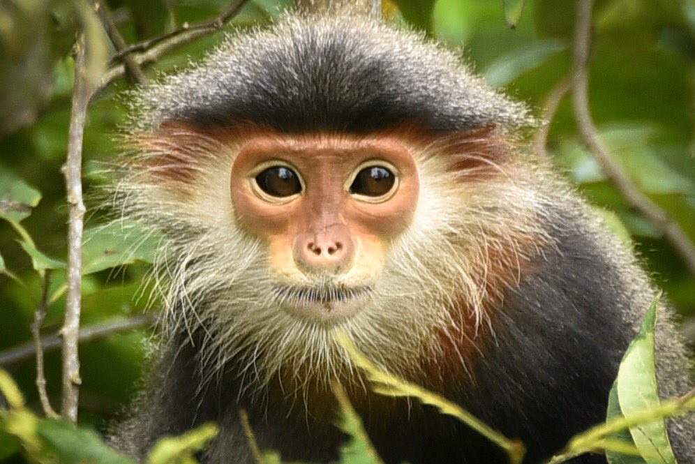 Con số may mắn tuổi Th&acirc;n ng&agrave;y 9/8/2023