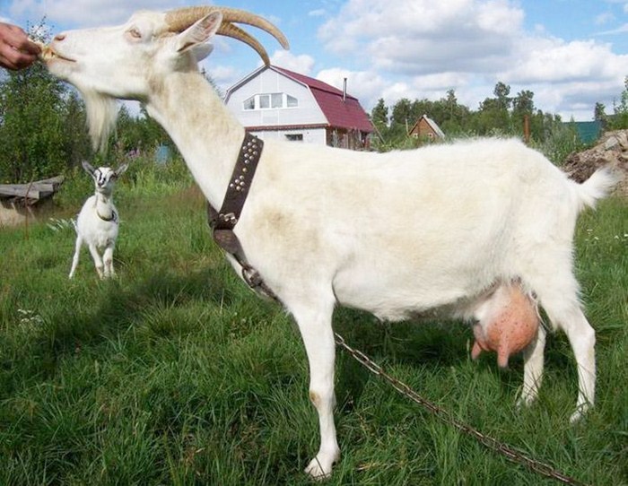 Con số may mắn tuổi M&ugrave;i ng&agrave;y 14/8/2023