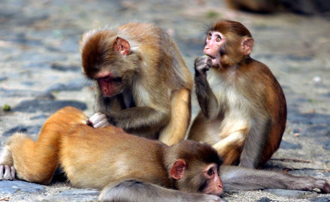 Con số may mắn tuổi Th&acirc;n ng&agrave;y 19/8/2023