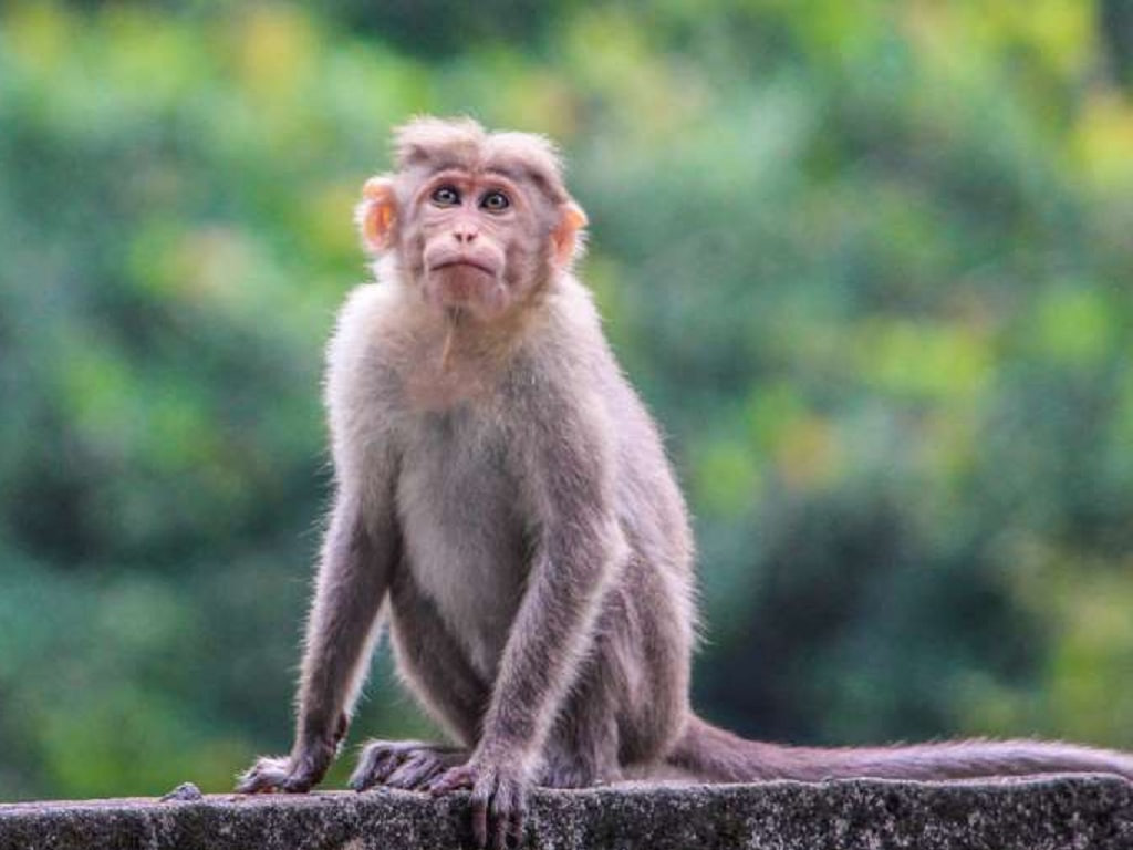 Con số may mắn tuổi Th&acirc;n ng&agrave;y 22/8/2023