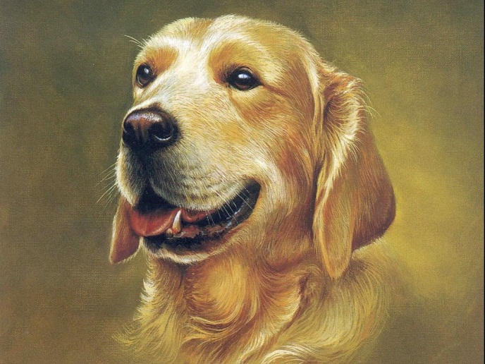 Tử vi ng&agrave;y 18 th&aacute;ng 8 tuổi Tuất