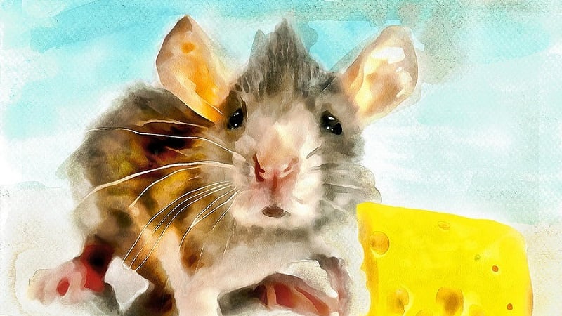 Tuổi T&yacute;&nbsp;từ ng&agrave;y 21-27/8/2023