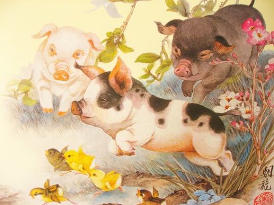 Tử vi ngày 29 tháng 8 tuổi Hợi