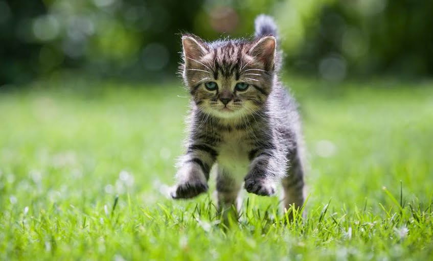 Con số may mắn tuổi M&atilde;o ng&agrave;y 5/9/2023