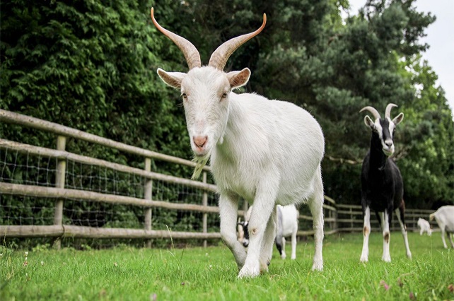 Con số may mắn tuổi M&ugrave;i ng&agrave;y 7/9/2023