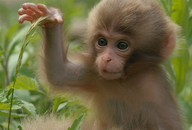 Con số may mắn tuổi Th&acirc;n ng&agrave;y 16/9/2023