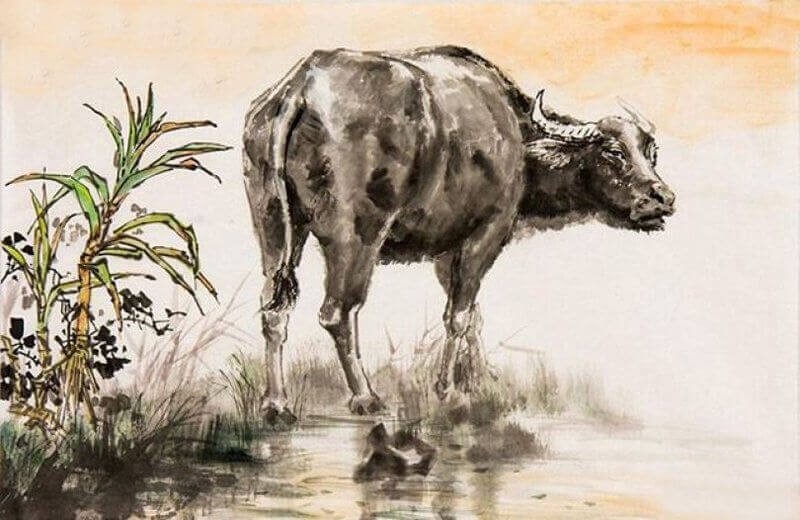 Tử vi ngày 19 tháng 9 tuổi Sửu