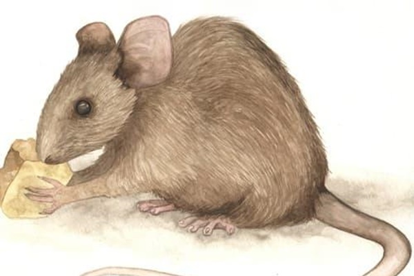 Tử vi ng&agrave;y 27 th&aacute;ng 9 tuổi T&yacute;