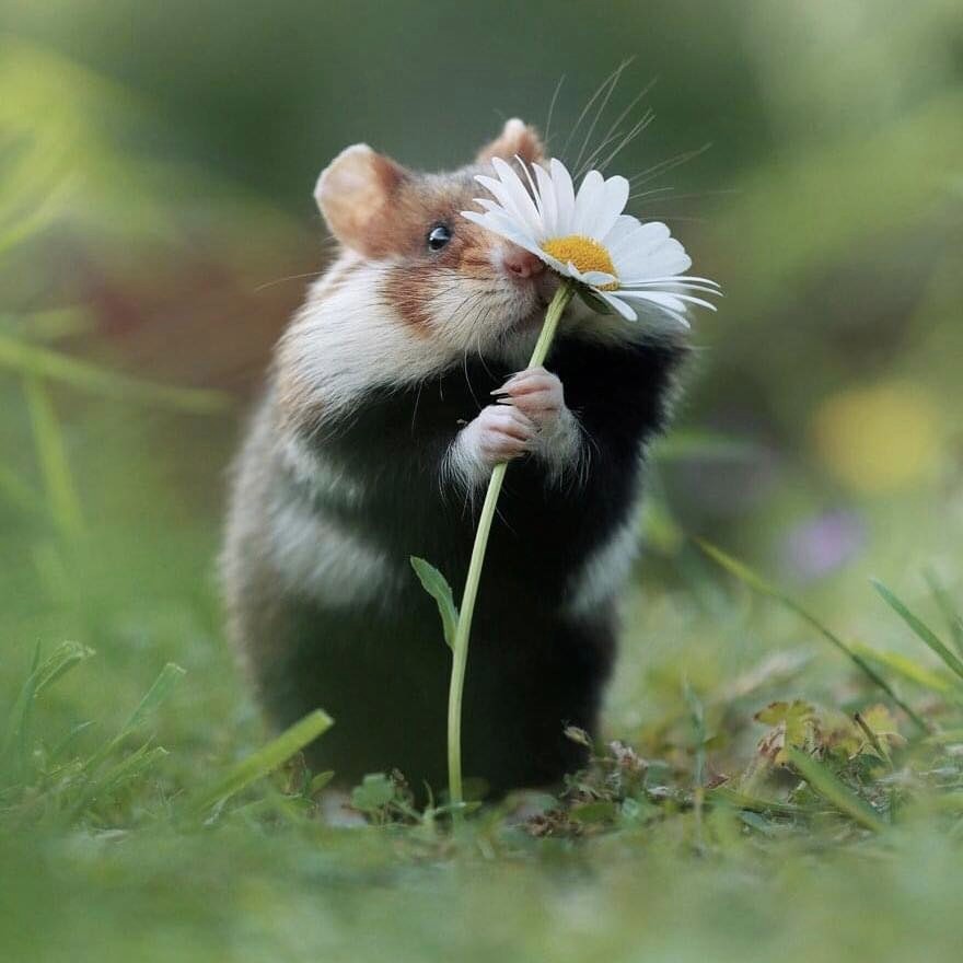 Con số may mắn tuổi T&yacute; ng&agrave;y 1/10/2023