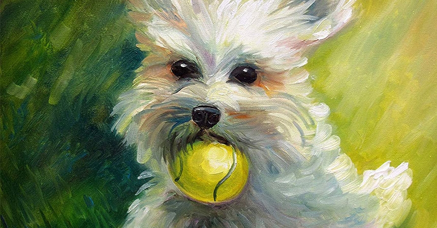 Tử vi tuổi Tuất tuần mới (2/10 - 8/10/2023)