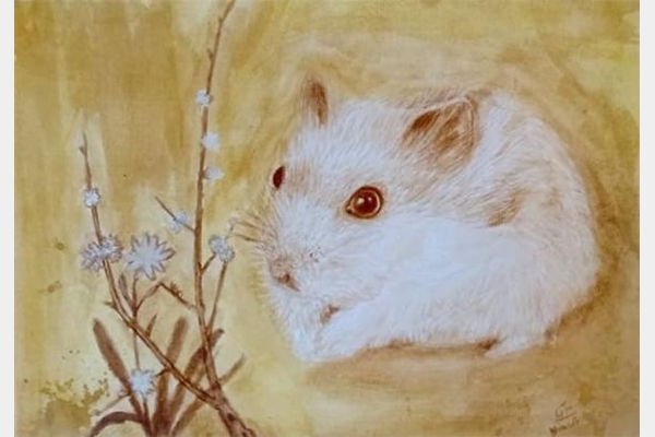 Tử vi ng&agrave;y 2 th&aacute;ng 10 tuổi T&yacute;