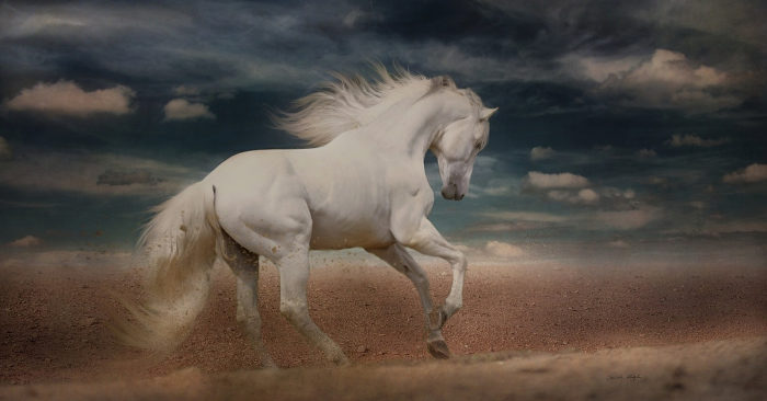 Con số may mắn tuổi Ngọ ng&agrave;y 15/10/2023