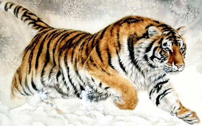 Con số may mắn tuổi Dần ng&agrave;y 18/10/2023