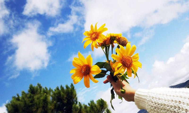 Ch&aacute;nh niệm mang lại những lợi &iacute;ch g&igrave;?