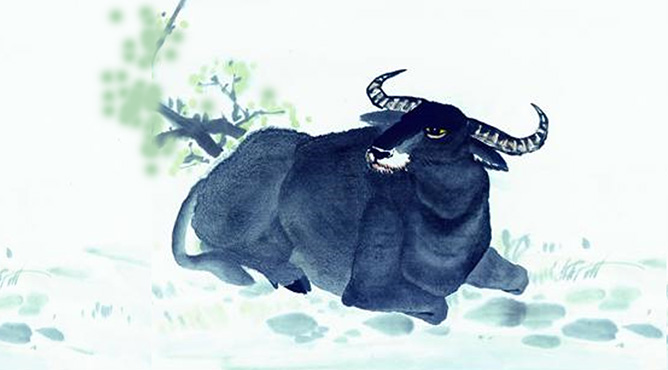 Con số may mắn tuổi Sửu ng&agrave;y 31/10/2023