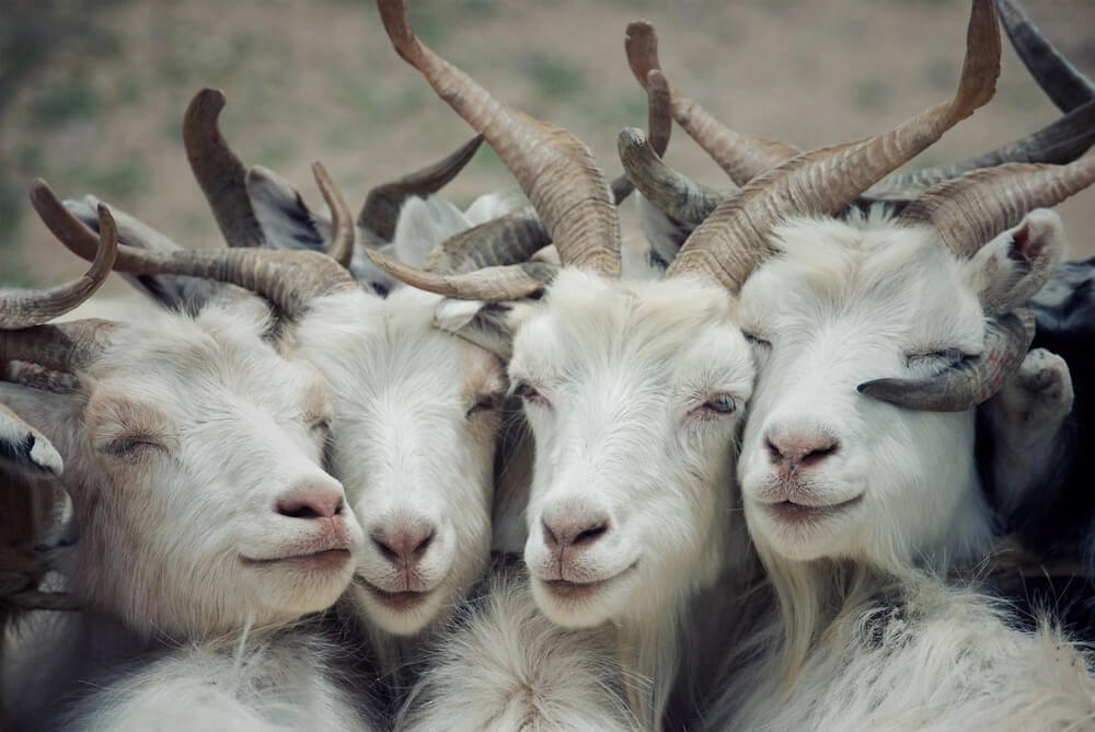 Con số may mắn tuổi M&ugrave;i ng&agrave;y 13/11/2023