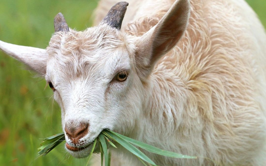 Con số may mắn tuổi M&ugrave;i ng&agrave;y 15/11/2023