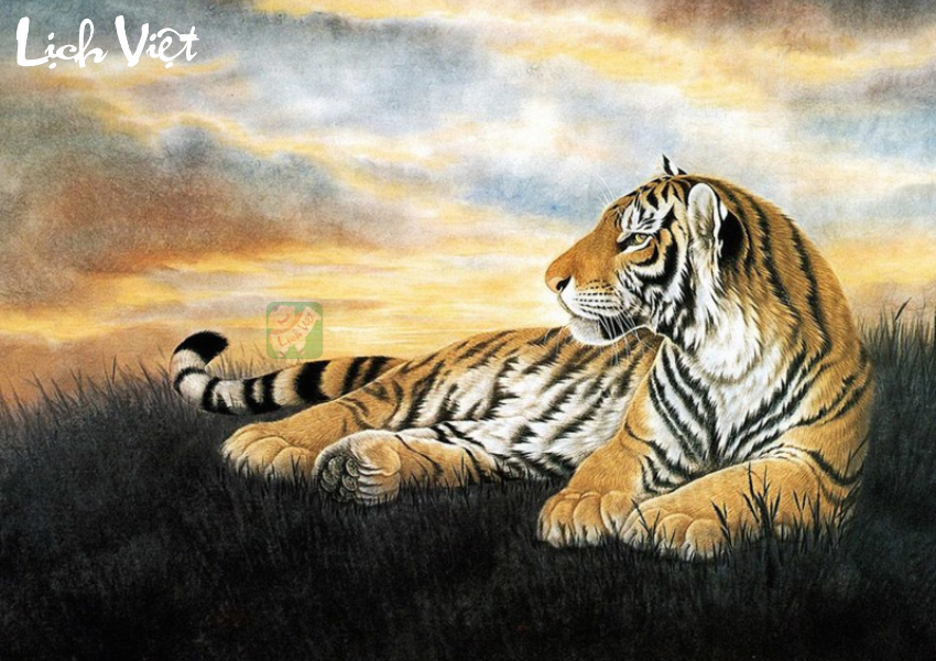 Con số may mắn tuổi Dần ng&agrave;y 19/11/2023