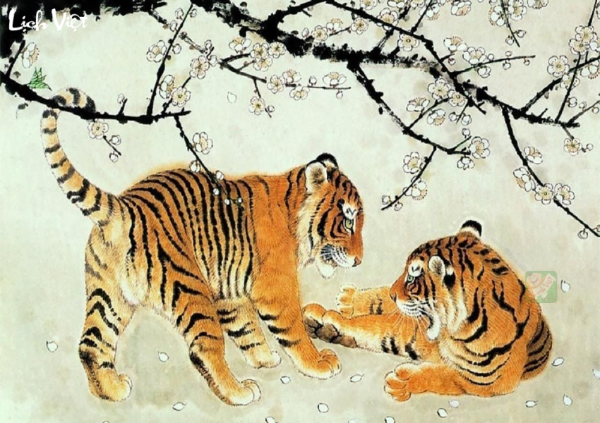 Con số may mắn tuổi Dần ng&agrave;y 24/11/2023