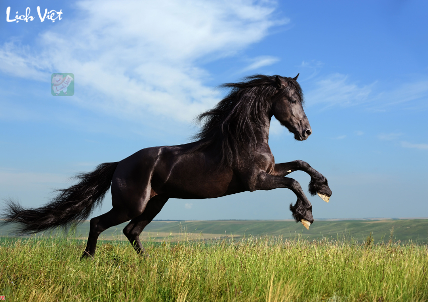 Con số may mắn tuổi Ngọ ng&agrave;y 23/11/2023