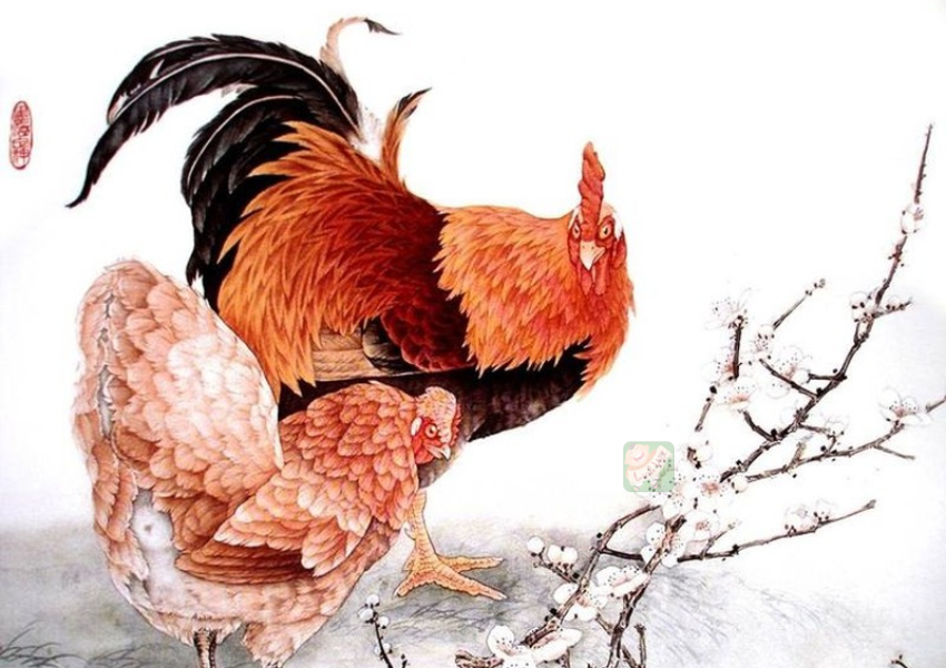 Tử vi tuổi Dậu ngày 23/11/2023