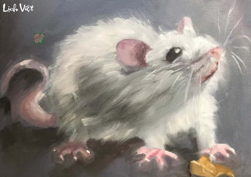 Tử vi tuổi T&yacute; ng&agrave;y 16/12/2023