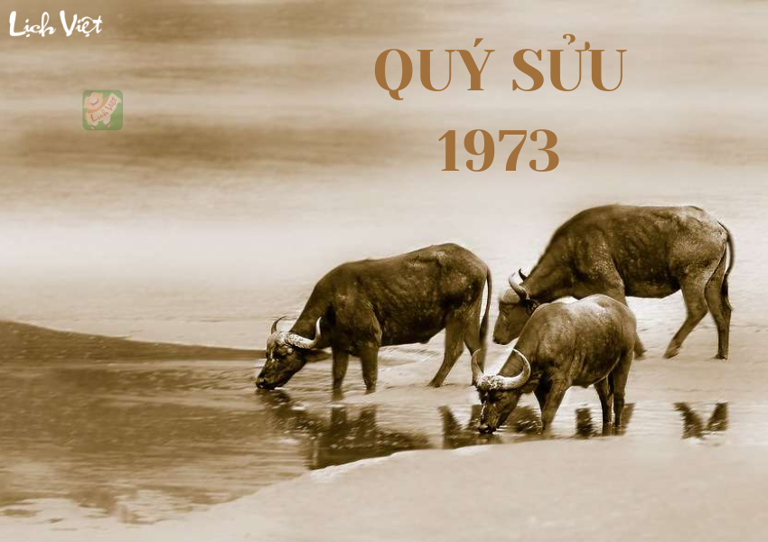 Tử vi tuổi Quý Sửu (1973) năm 2024