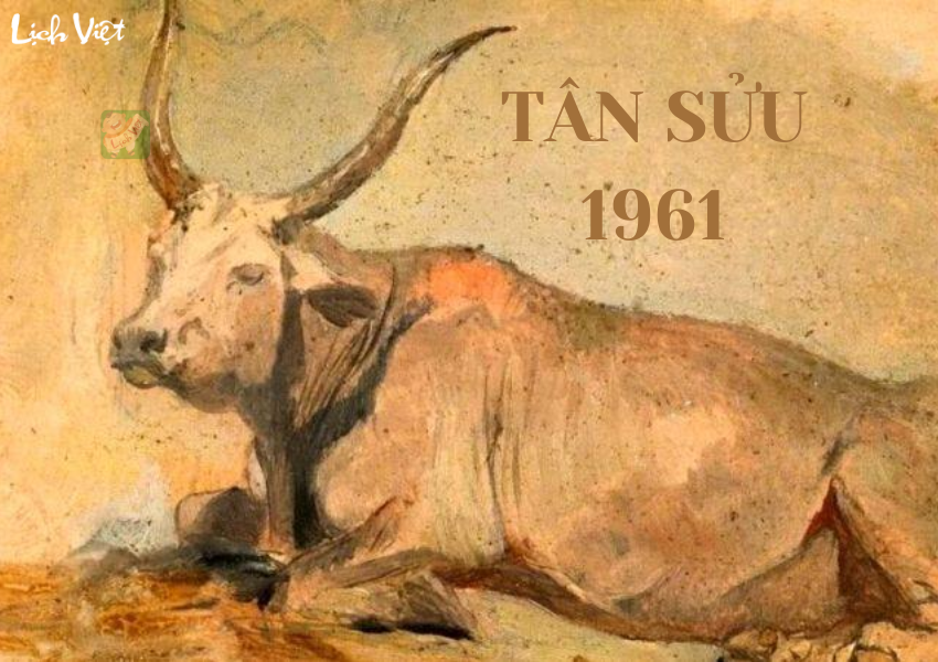 Tử vi tuổi Tân Sửu (1961) năm 2024