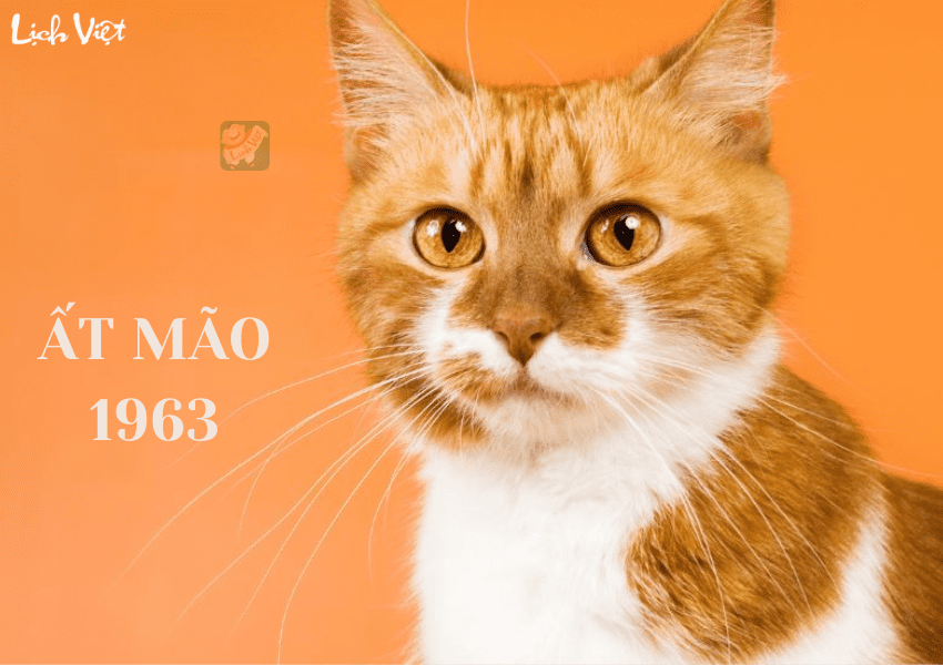 Tử vi tuổi Ất Mão (1975) năm 2024