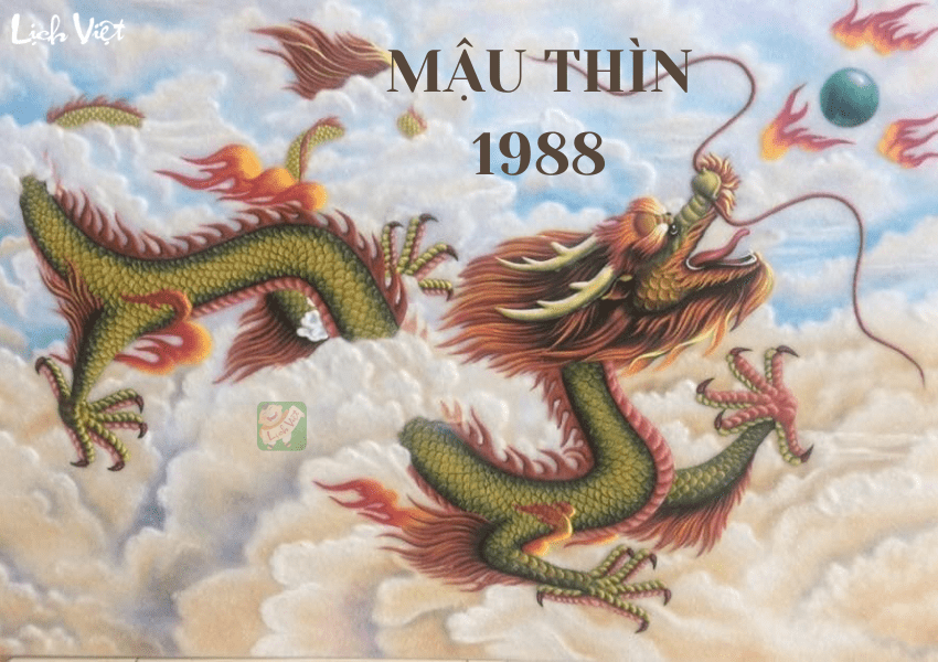 Tử vi 2024 tuổi Mậu Thìn (1988)