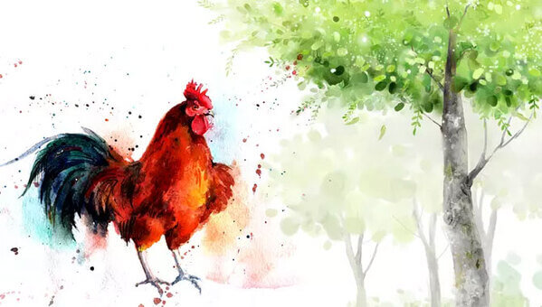 Con số may mắn ng&agrave;y 29/3 tuổi Dậu