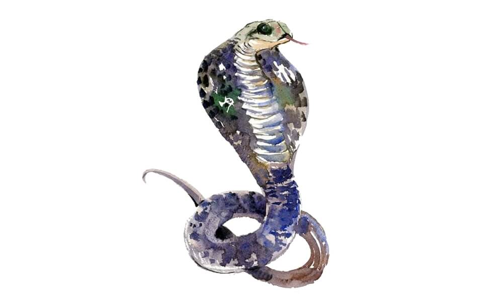 Tử vi ng&agrave;y 31 th&aacute;ng 3 tuổi Tỵ