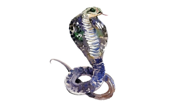 Con số may mắn ng&agrave;y 8/4 tuổi Tỵ