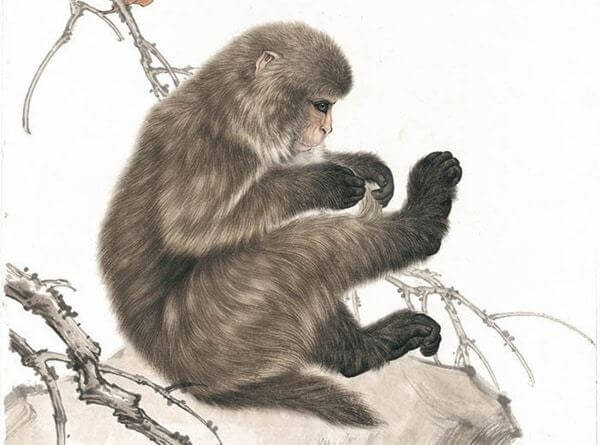 Con số may mắn tuổi Th&acirc;n ng&agrave;y 12/4