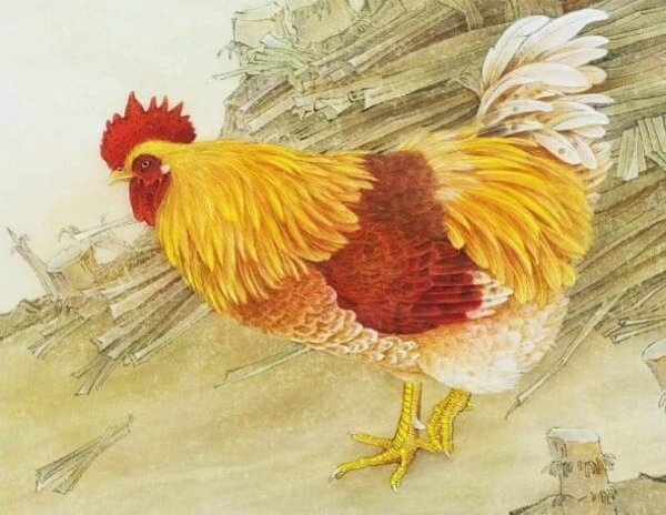 Tử vi ng&agrave;y 10 th&aacute;ng 4 tuổi Dậu